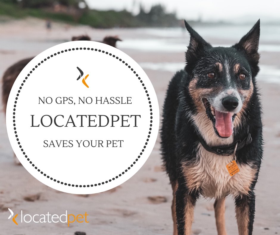 locatedpet's tweet photo. Are you scared of the possibility of losing your pet and never seeing them again? LocatedPet is a solution to all your worries and is the ultimate safety net if your pet ever runs away. Works globally. Shipping Worldwide. @locatedpet https://t.co/G8P1iE1l5F