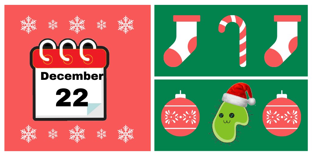 MicroDx_UQ's tweet photo. #MerryBugmas DAY 22
Clap 👏😉 4 #MicroDxAdvent bug of the day Neisseria gonorroheae. It’s no coincidence that we chose the 22nd for #Gono:
-It comes in 2’s as diplococci 🟣🟣 (kind of looking like a bottom)
-Often brings a friend to the party 🥳 in the form of Chlamydia
#AMR 💊 https://t.co/1wGnpTbpEC
