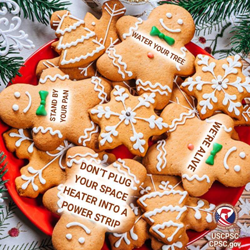 Cookies with safety messages on them that say water your tree, stand by your pan, don't plug your space heater into a power strip, and we're alive.