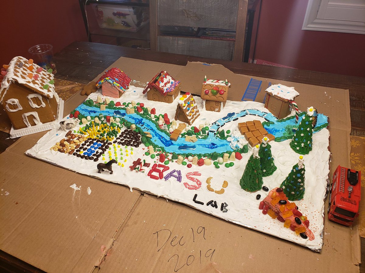 LamisaMalik's tweet image. #basulab Gingerbread watershed with tiny eithropichic  reservoir