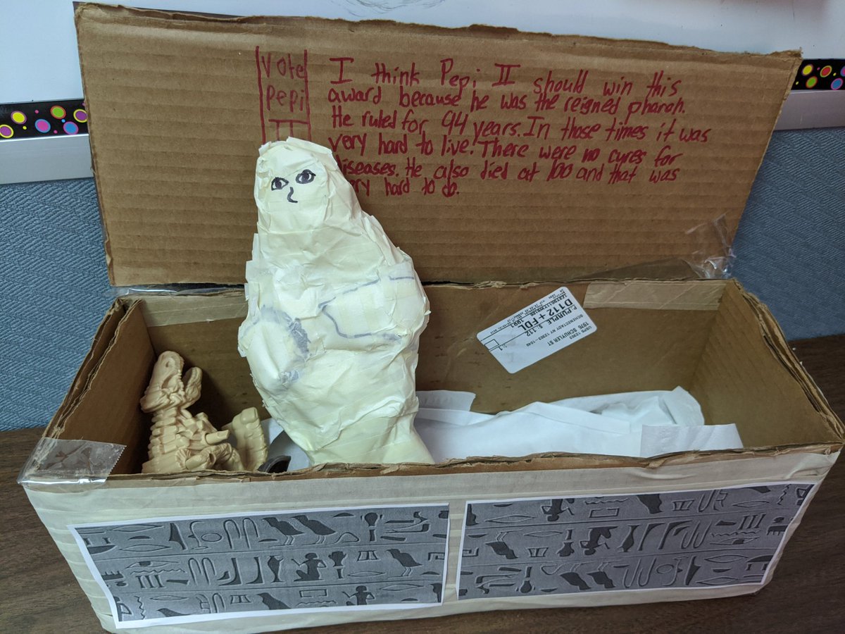 Team M6D tweet media