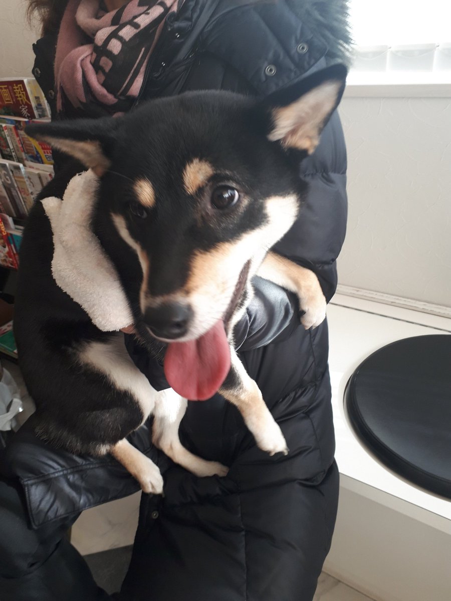 鉄 Uqccat2ks5x1i16 Twitter