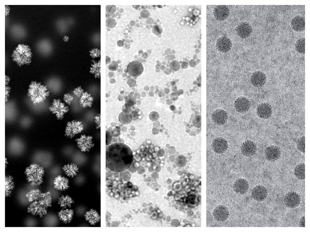 Protochips's tweet photo. So much #liquidcell #TEM expertise in one place: The GRC on Liquid Phase EM is coming up! Registration is still open, and it's in beautiful Tuscany: https://t.co/9lx3ToCxLe
left to right: courtesy of Aidan Taylor @ UCSB, courtesy of Protochips, courtesy of Deb Kelly @ Penn State https://t.co/H4Ybw6eeJv