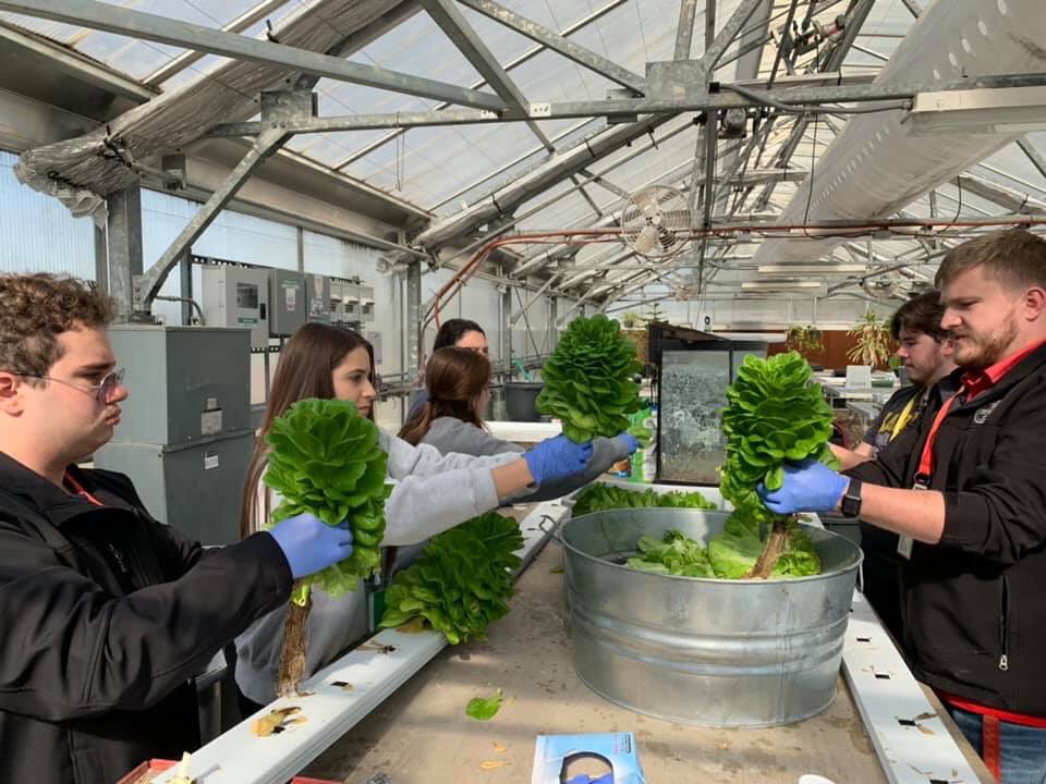 Cypress Woods FFA tweet media