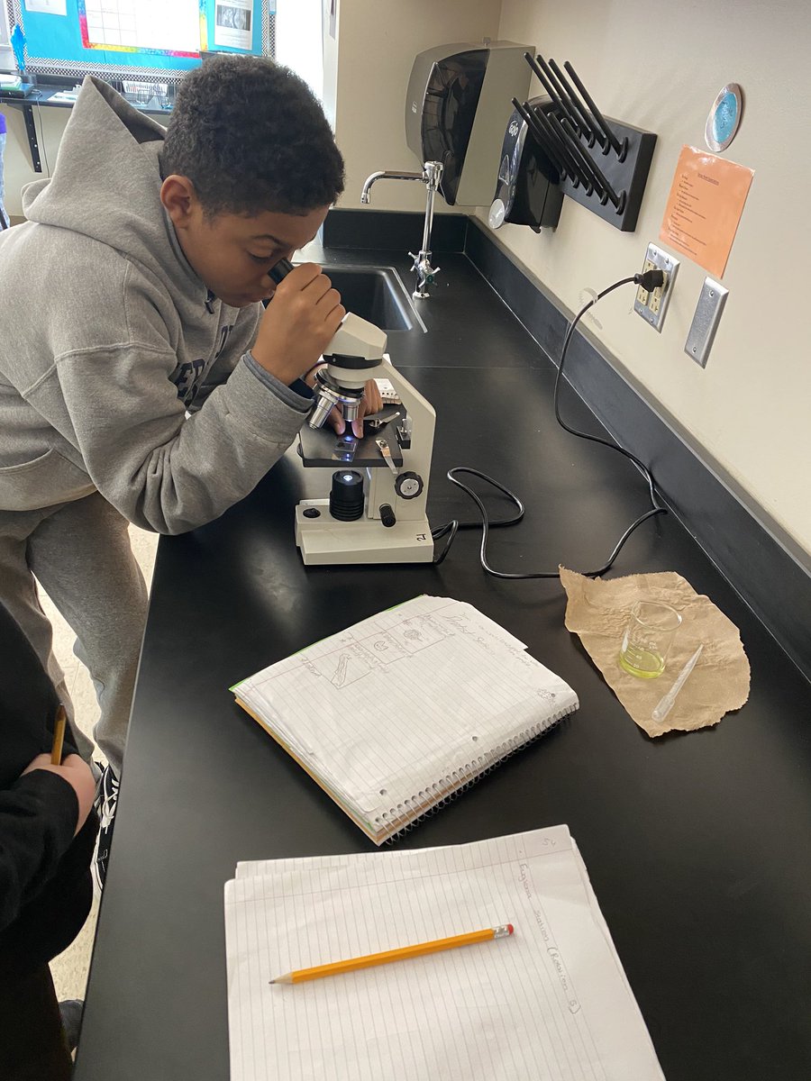 Freeman7Science's tweet photo. It may be the last week of school but the wildcats are still busy learning! Looking at LIVE parameciums, euglenas, amoebas, and volvox. #MPMSleopards #7thGrade #Protists #Eeeeewwwwww #SoCool https://t.co/K8qZqsosU0