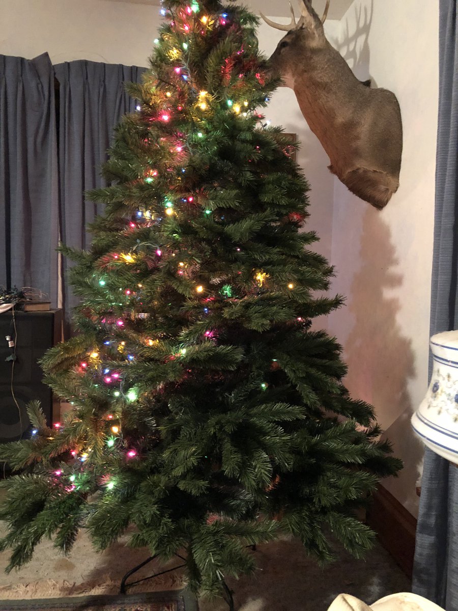 firefighter89's tweet photo. Guess what I’m doing tomorrow?  Tossed 3 strands that stopped working. #NeedMoreLights #ChristmasTreeFail https://t.co/qeyBNLzB2x