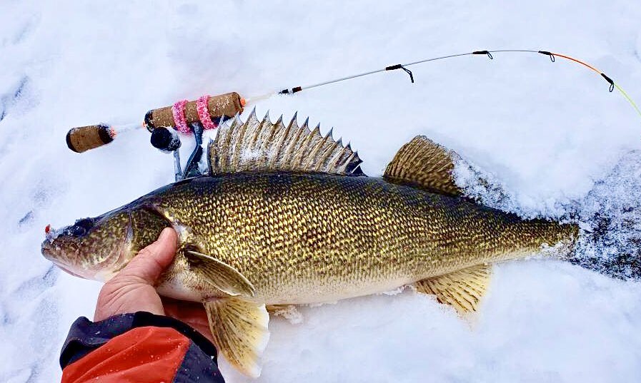 EyeconicFishing (EyeconicFishing) Twitter