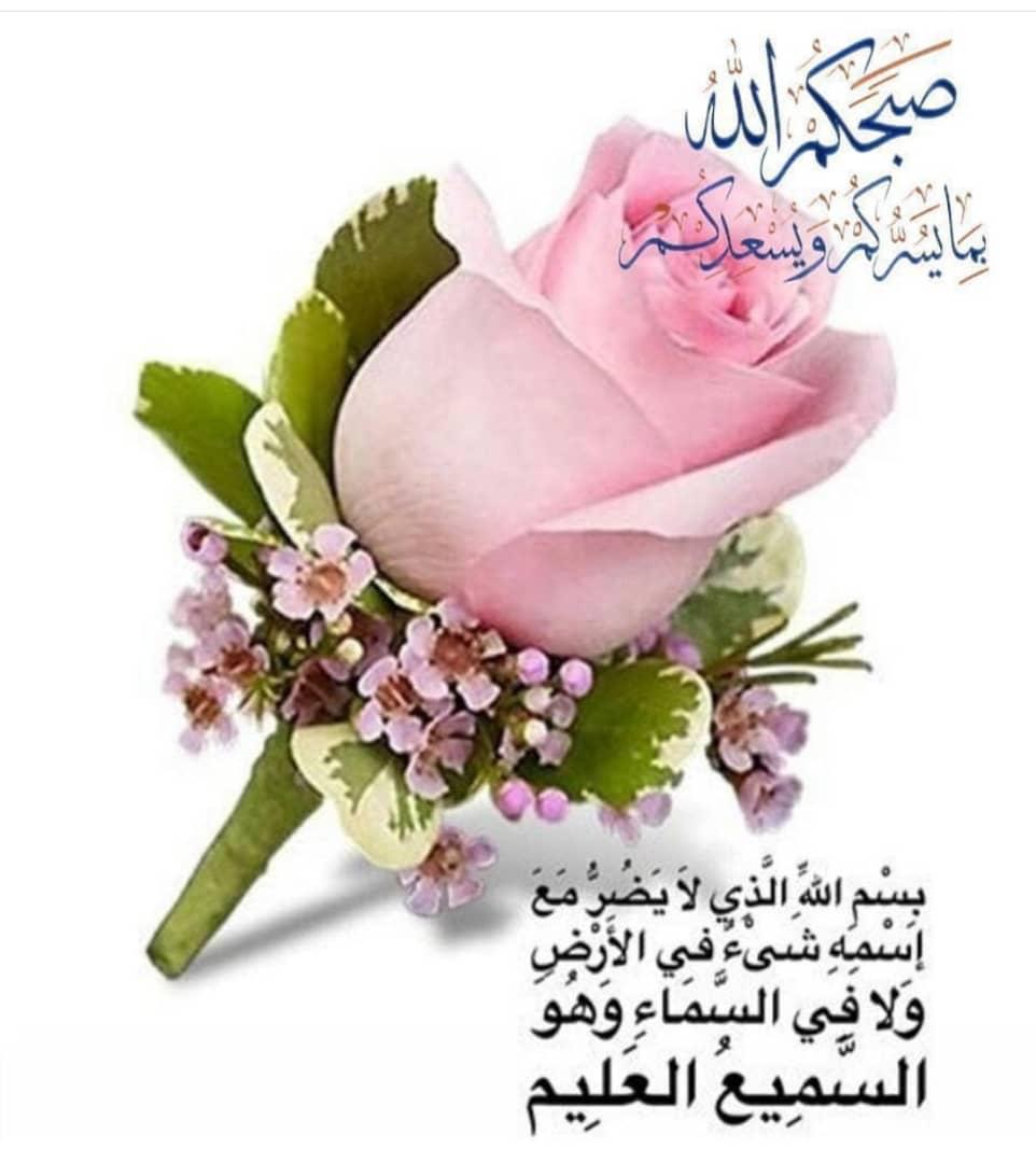 Hajar6s's tweet photo. https://t.co/4kaeWGpi31