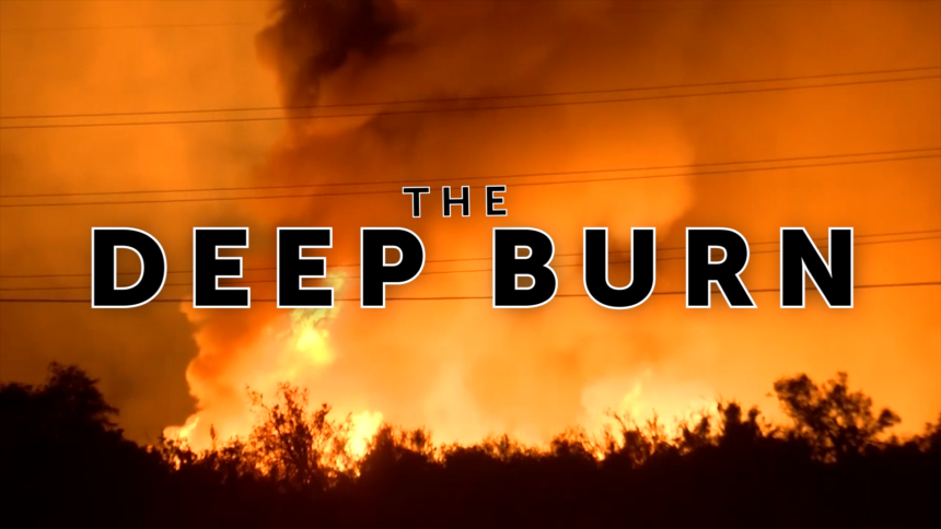 HaleyClawsonWX's tweet photo. Instead of paying at one of the valley's three legal sites, some take the chance to dump their green waste for free. @KarenDevineKESQ learns about the problem first hand while riding along with a new task force. #TheDeepBurn https://t.co/syfC23XVQH https://t.co/eUVddMzXYZ