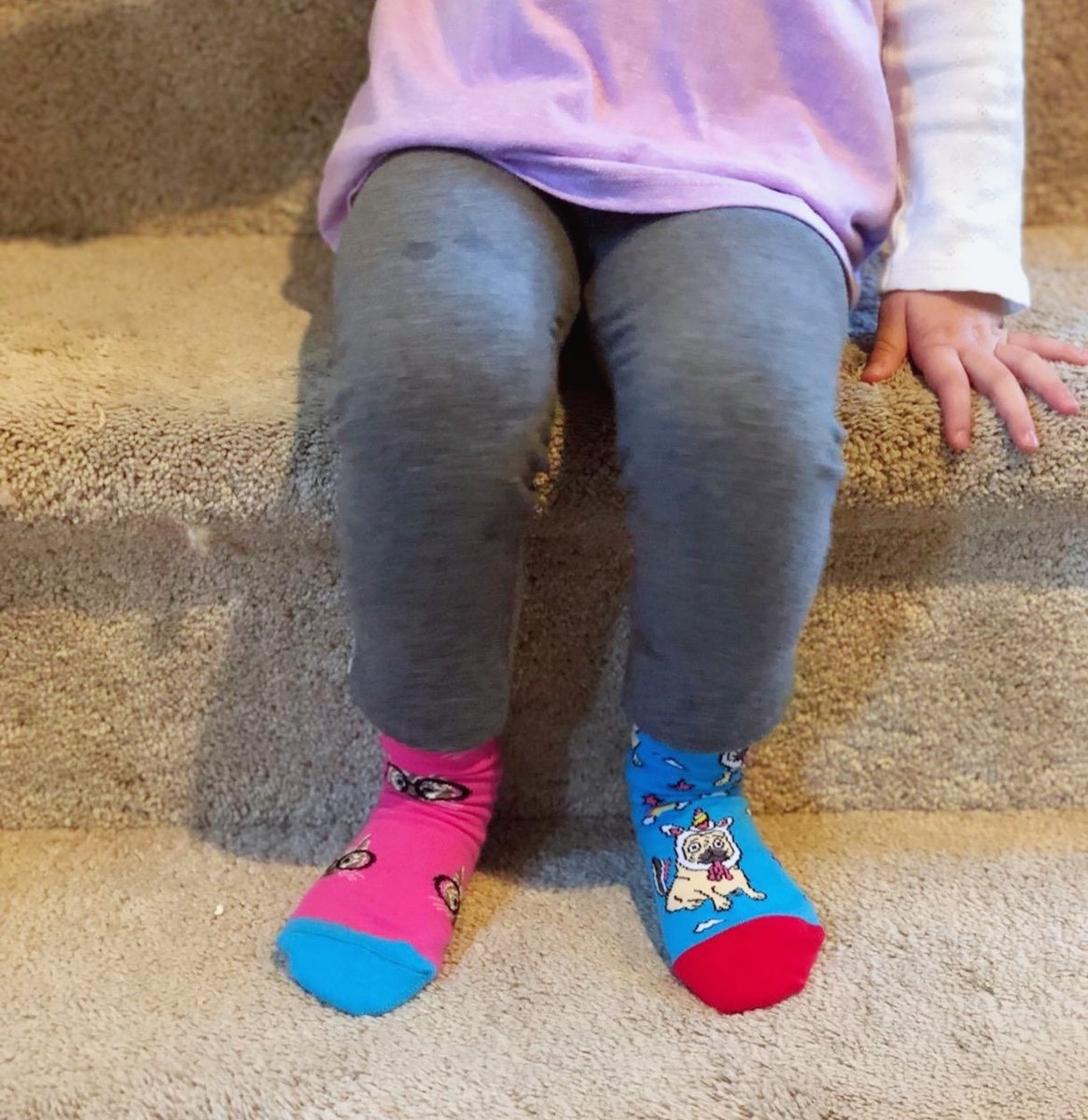 HappypopSocks's tweet photo. Make little feet happy in socks!💫

#kidssocks #sockforkids #happypopsox #holidaygift #cutesocks #animalsocks #sockoftheday #christmas #christmasgift https://t.co/BVs8u1Uy4B