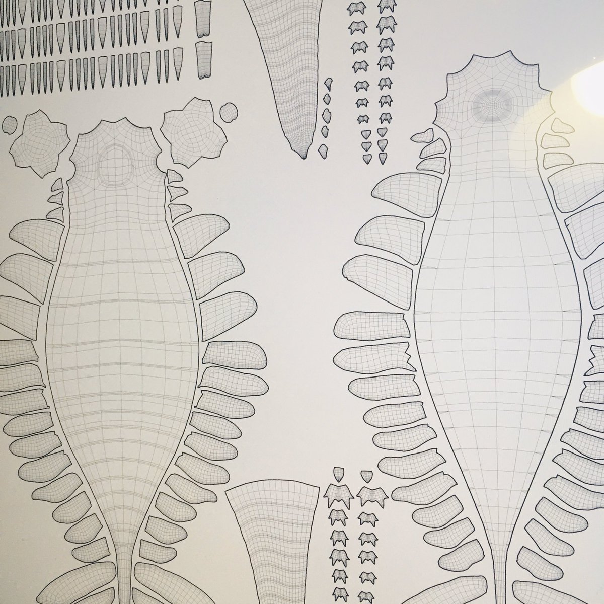 アノマロカリスARのテクスチャを水彩で描いて提出。3Dモデルの展開図。アノマロのひらきである。3Dに貼り付けてもらうのが描いての一発勝負なのこわい( ; 'ω`)うまく描けてるといいな...! #アノマロカリス解体新書 