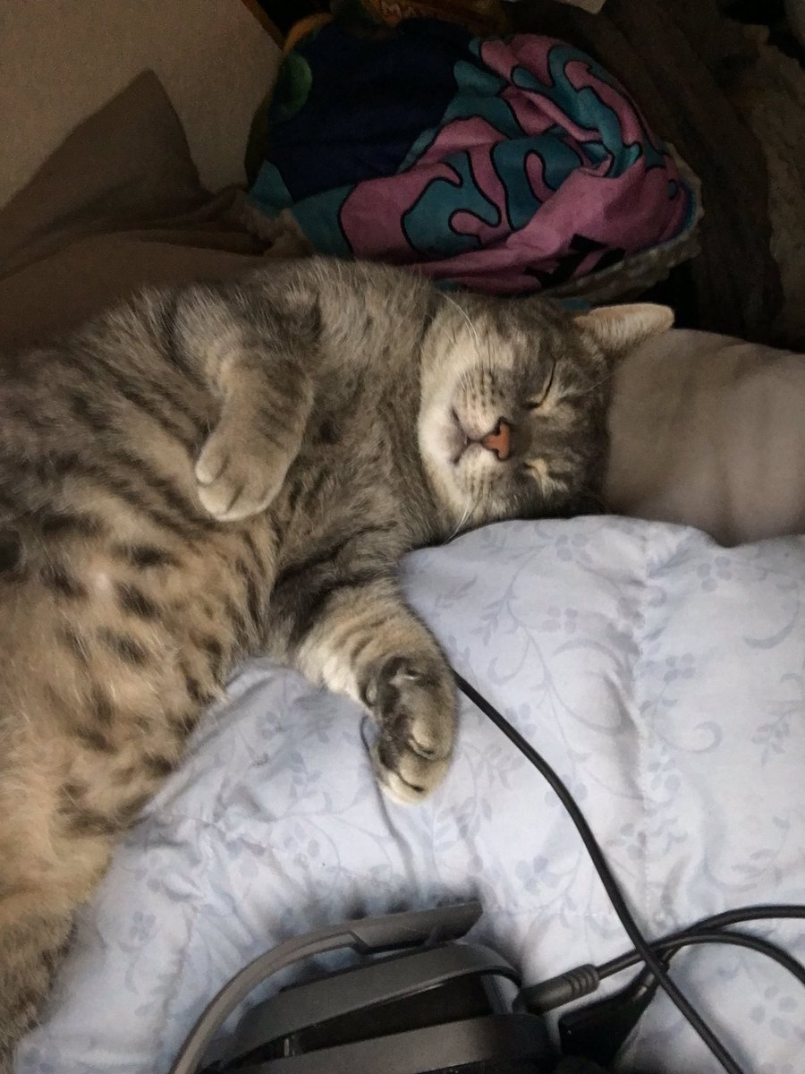 bigg tummus