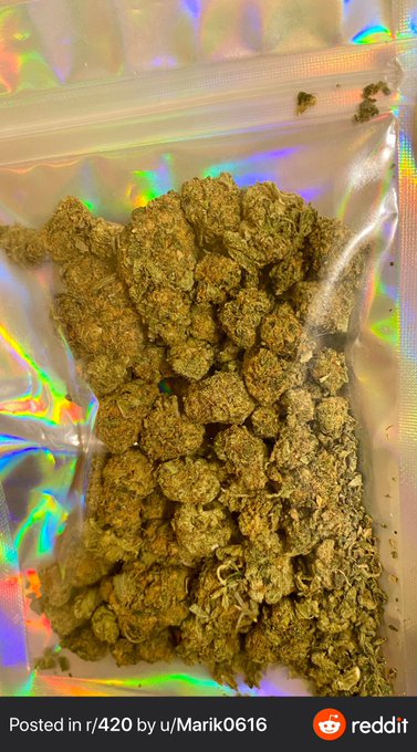 Do you like fucking while your high? https://t.co/b9Qyxp7QI8<a href="/tag/newprofilepic"class="tags"><span>#newprofilepic</span></a>