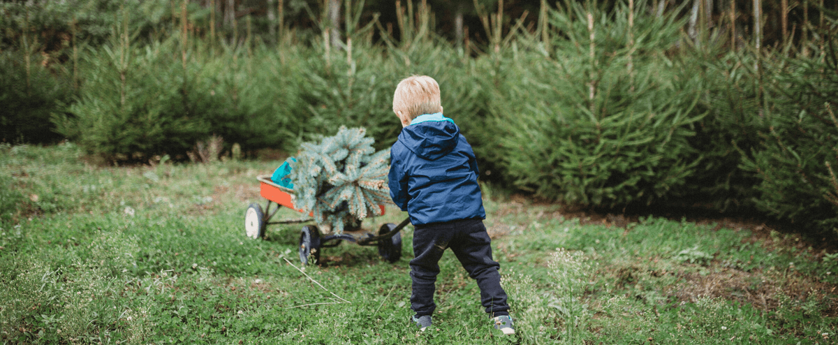 Onlyhumans tweet media