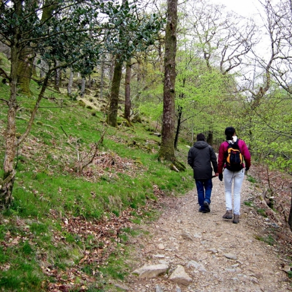 Gaudeix d'una caminada per practicar la consciència plena (Mindfulness) en un entorn natural, alternant diferents exercicis al llarg d'un recorregut de 3h acompanyats x un guia de l'Espai Psikos a <a href="/EixFortPienc/">Eix Fort Pienc</a>

📅 18/1/20
⏱10:00-13:00h
💶 15€

+ info 👇
ow.ly/aLk750xEkHf