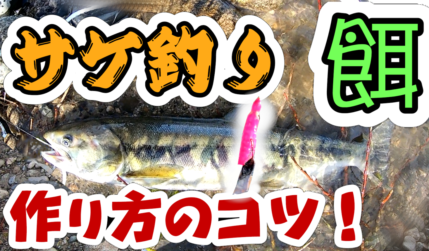 つりうぇいぶ タム 本当は教えたくない サケ釣りのエサ 作り方のコツ 動画をupしましたよろしければご視聴のほどよろしくおねがいします T Co 8fdkd8go7c 新潟 荒川 サケ釣り 鮭釣り アキアジ 餌 仕掛け 作り方 コツ