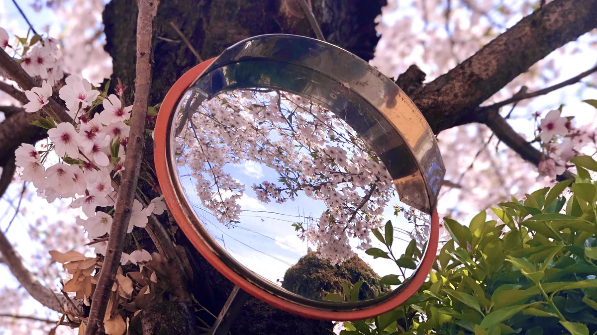 日本の四季は本当に素晴らしい！！ミラー越しに映る景色がなんとも言えない