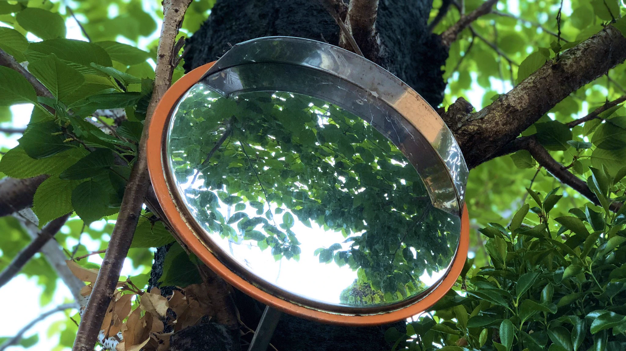 日本の四季は本当に素晴らしい！！ミラー越しに映る景色がなんとも言えない