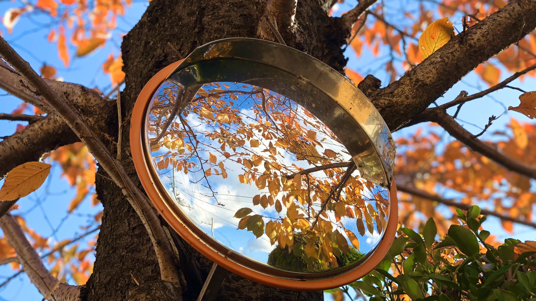 日本の四季は本当に素晴らしい！！ミラー越しに映る景色がなんとも言えない