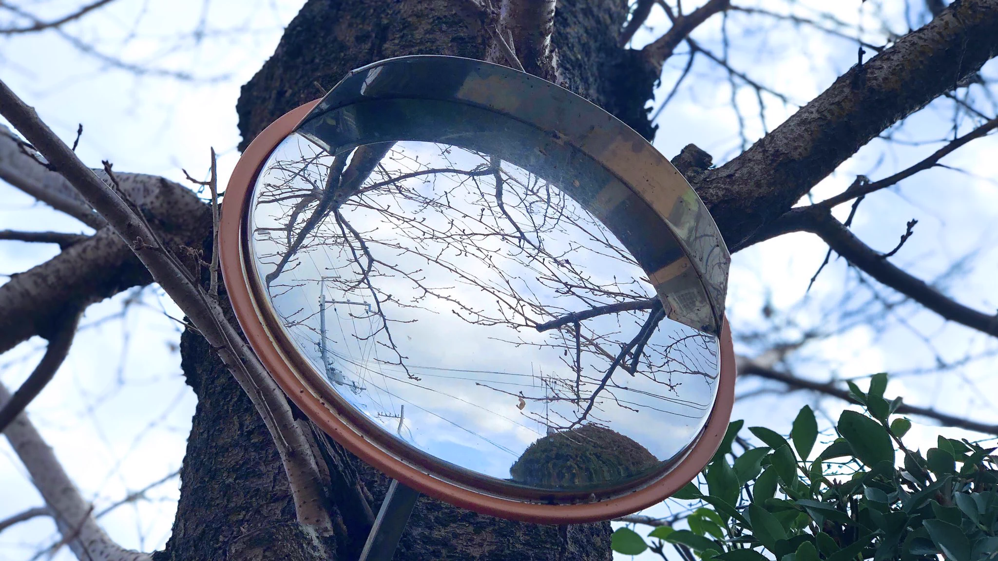 日本の四季は本当に素晴らしい！！ミラー越しに映る景色がなんとも言えない