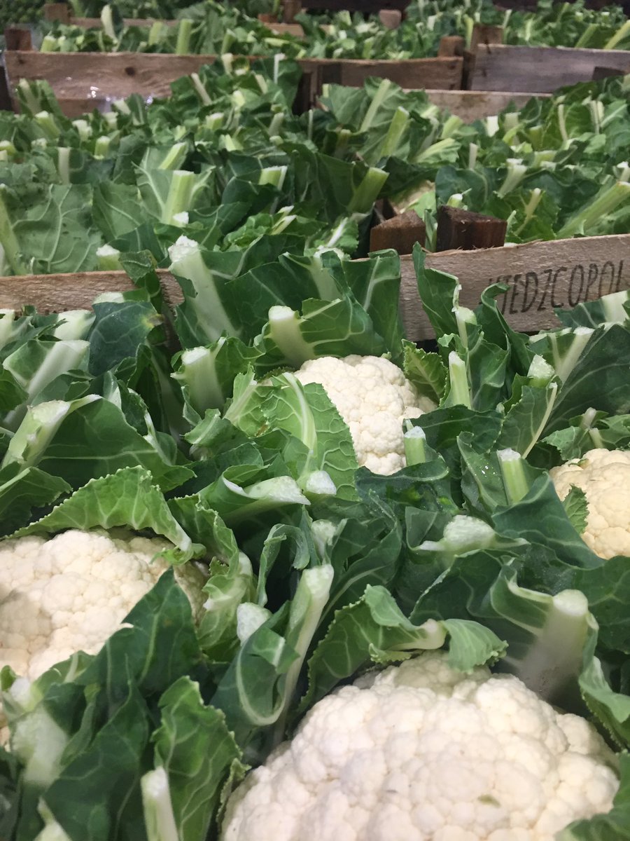A Sea Of Wonderful Cornish Vegetables , being sold at the right price , giving the right price back to the Grower 
#fresh #quality #rightprice