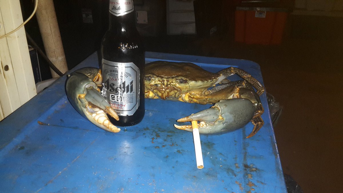 Andrew Leonhardt tweet media