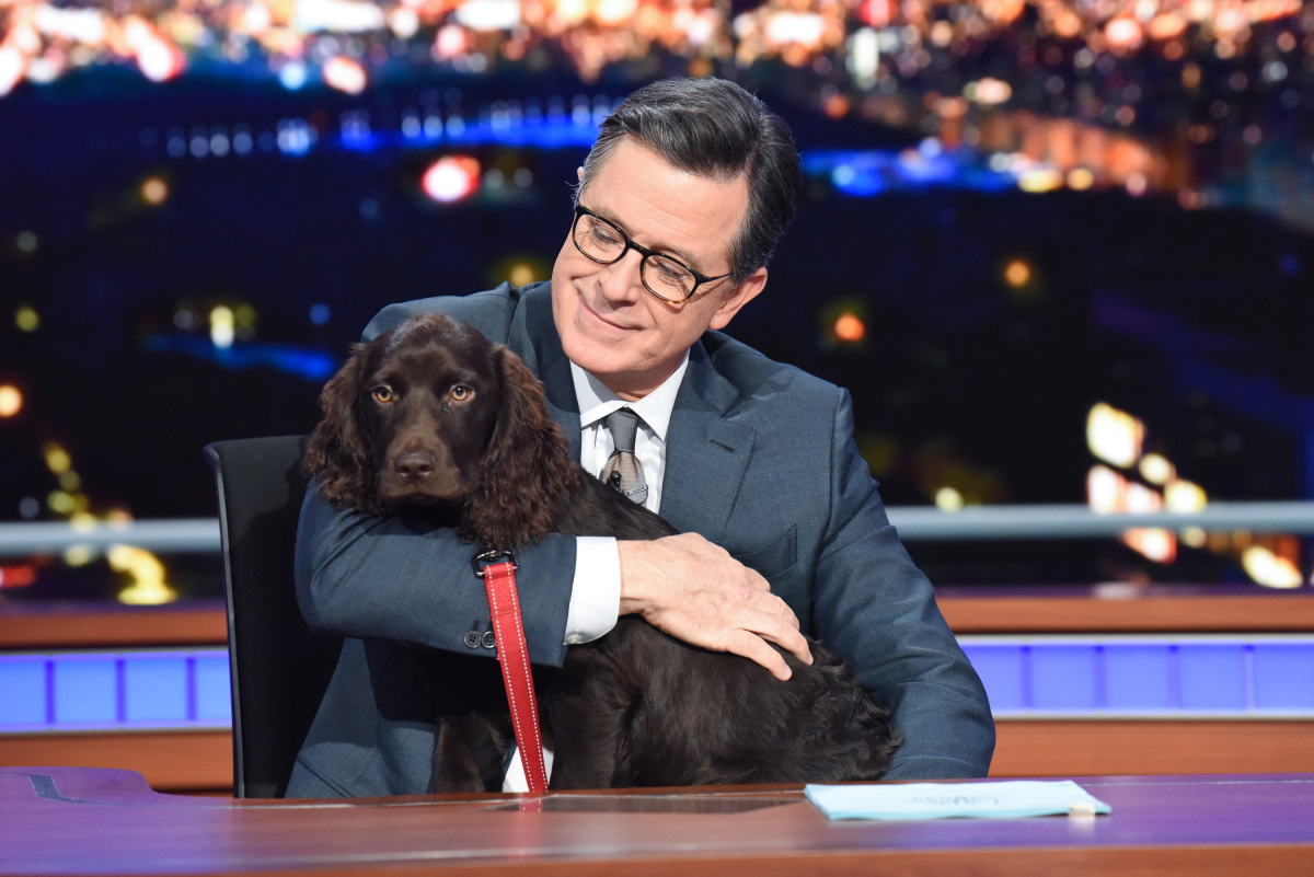 colbertlateshow's tweet photo. The love that Stephen has for his puppy Benny is the type of energy we're taking into 2020. #BennyColbert https://t.co/S6ZqTsPXaf