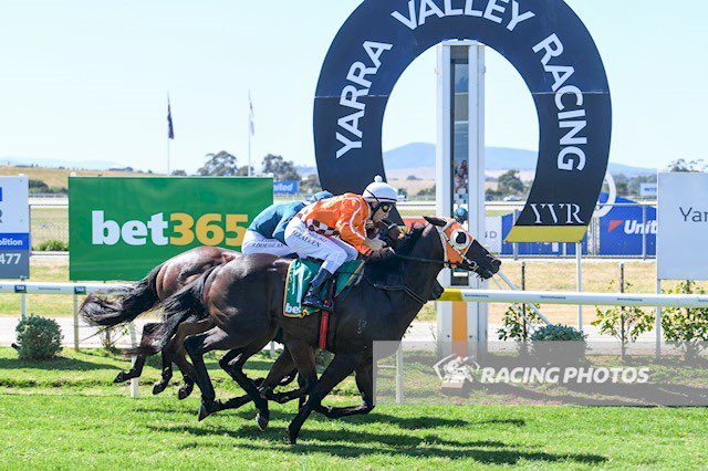 vicbreeders's tweet photo. BLACK SEA won its maiden at Yarra Valley with jockey Matthew Allen aboard in the saddle for trainer Ray Cleaver. A graduate of the 2017 Magic Millions Adelaide Yearling Sale, the gelding was Victorian bred by Denman Bloodstock Pty Ltd &amp; Noor Elaine Farm. Congratulations! https://t.co/DVxz79VgDN