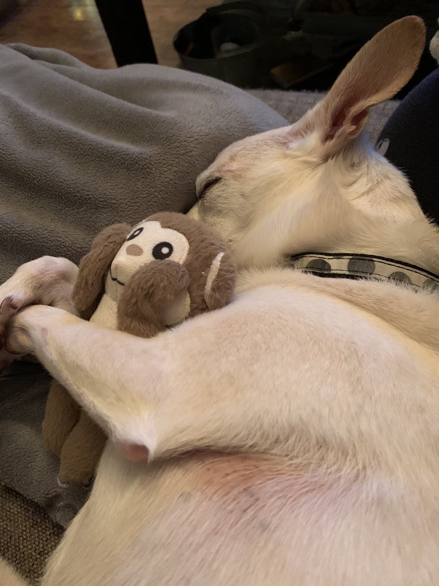 Michelle Durand tweet media