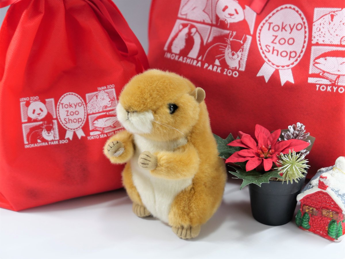 ট ইট র 上野動物園 公式 通販 新発売の上野動物園オリジナル ぬいぐるみ プレーリードッグ税込1 980円 がzooshopにも登場 マジックテープで手合わせポーズ お腹を押すとキューっと鳴ります 尻尾の先は黒 げっ歯類なので 年に向けても