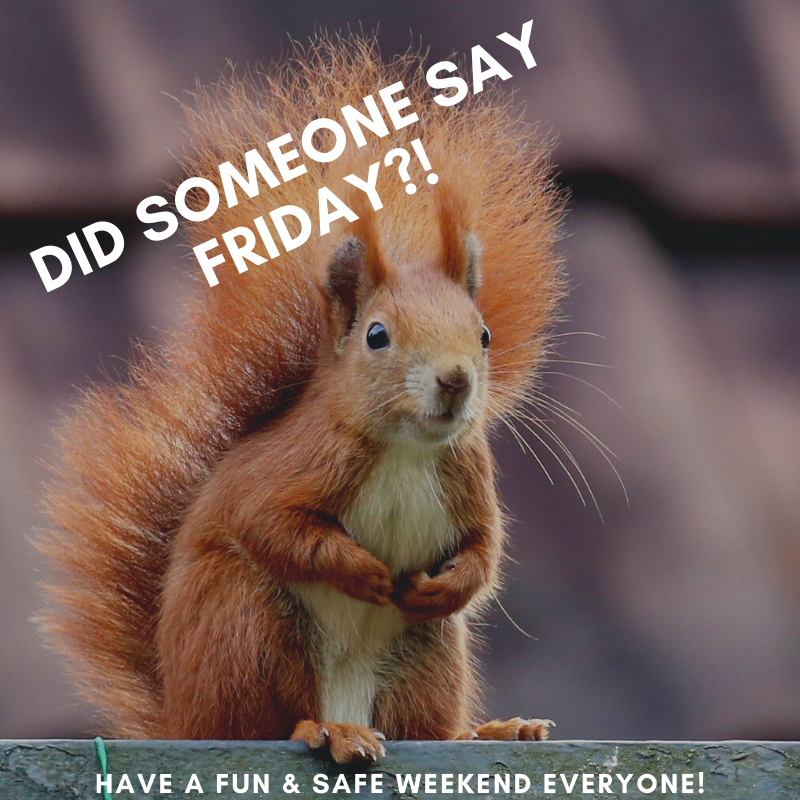 TGIF.

#friday #weekend #tgif #createyourfuture #macdonaldeducation #NSWrealestatetrainingcollege #training #realestate #education #onlinestudy #study #courses #business #qualification #college