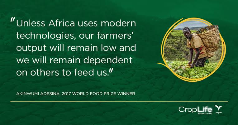 Cellulant's tweet photo. "Unless Africa uses modern technologies, our farmers' output will remain low and we will remain dependent on others to feed us." ~ Akinwumi Adesina

#MakePossible #1MYouthinAgric #Agritech https://t.co/Y5XgqiQOdh