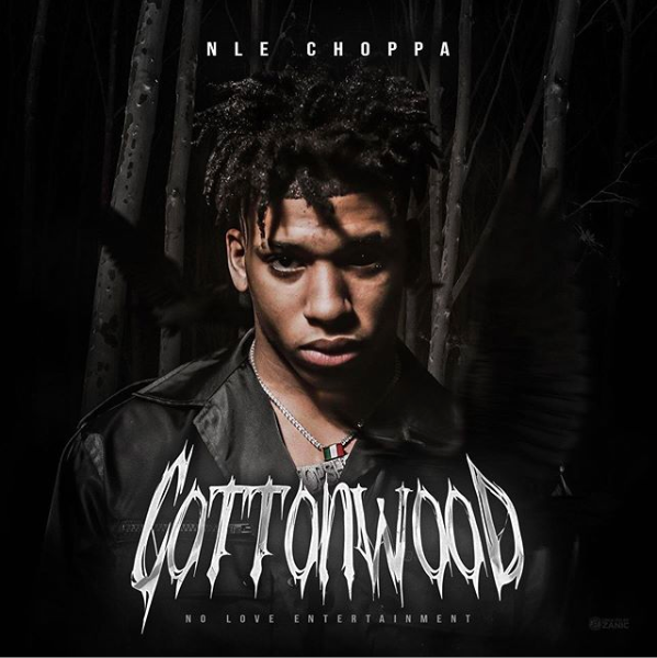 nlethegreat1's tweet photo. "Cottonwood" Out Now! Retweet with your $CashTag I'm blessing folk. 💔 #NLE #12DaysofCottonwood https://t.co/8ikk7BNrRs https://t.co/3Vbvm5ALkX