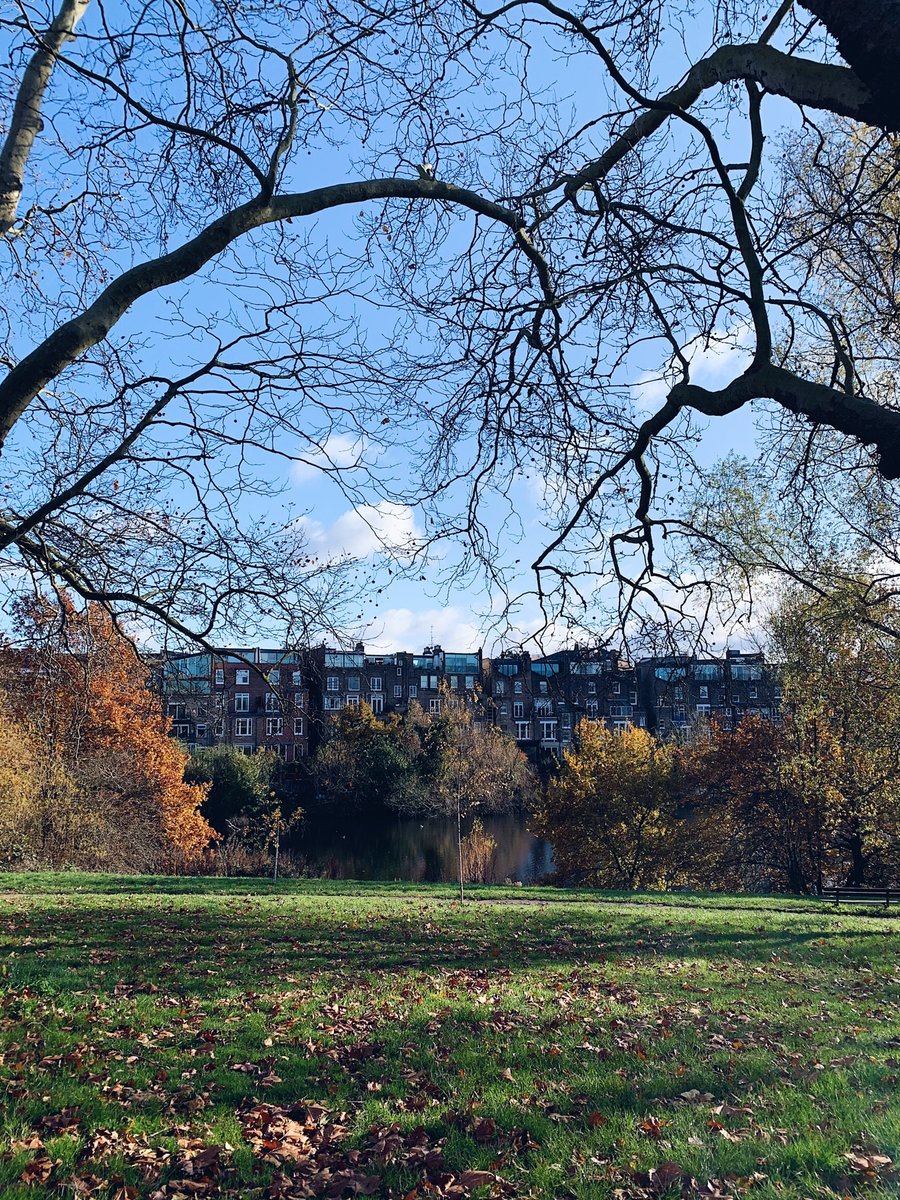 Just a 15-minute tube ride from Central London, our Heath is a true escape from the city, within the city! 😍🌿 #HampsteadVillage #HampsteadHeath