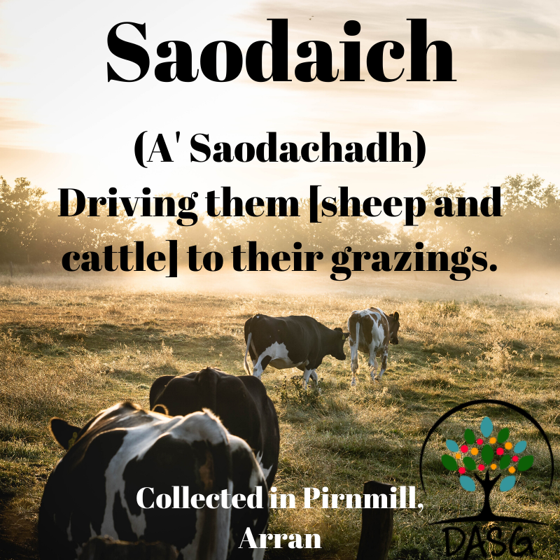 DASG_Glaschu's tweet photo. https://t.co/1M5cE8XRCw
#seachdainArainneach #ArranWeek
#Gà idhlig #Gaelic #DASG #archive #tasglann #UofG #Archivist #ScotlandsSounds #DigitalArchive #IYIL2019 #UNESCO #IsMiseGà idhlig #saodaich #saodachadh #bò #caorach #cow #sheep #MuilleannnamPiÚirneachan #Pirnmill #Arainn #Arran https://t.co/JcDj02Vclm