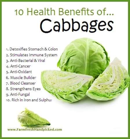 givvy_givven's tweet photo. Doctors recommend that you begin the year by eating cabbage, so January is cabbage month for health reasons https://t.co/sA1BKEvBR9