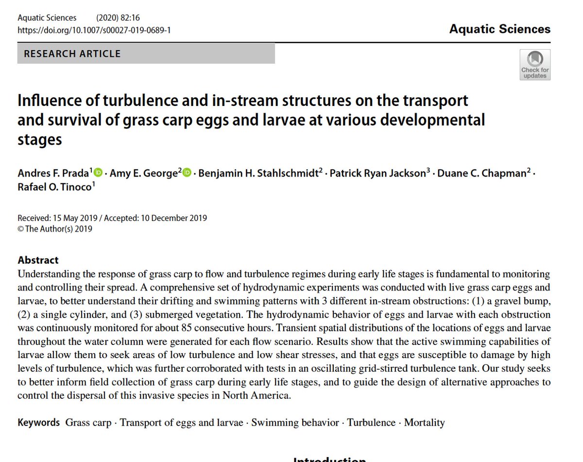 New open access #EEL paper at #AquaticSciences @SpringerEnviro.
Our project with the #USGS identifying swimming patterns of grass carp larvae. #FlumeFriday
doi.org/10.1007/s00027…