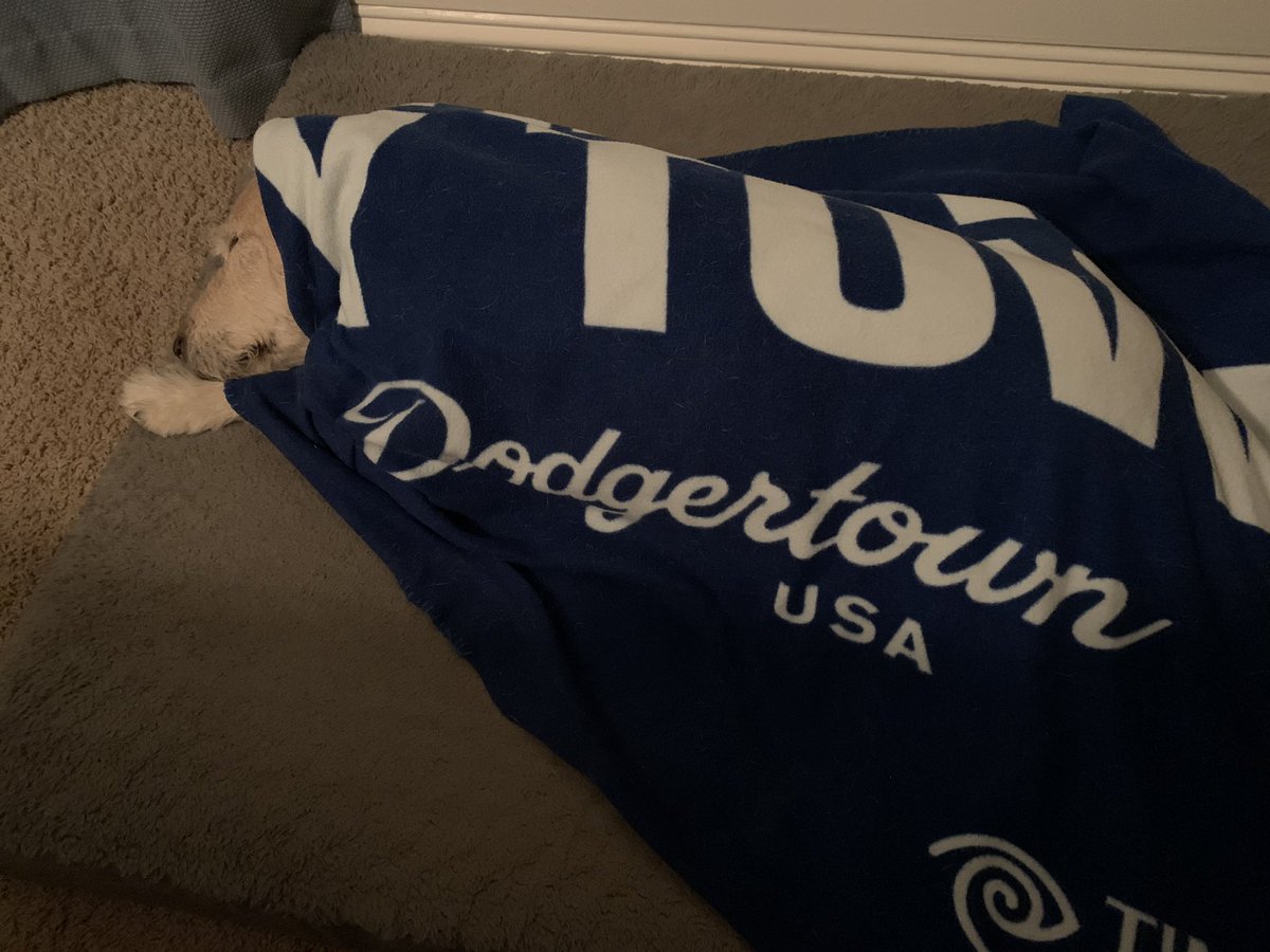 agr_dodgers22's tweet photo. My wife says it’s ridiculous that I tuck Gibby in with his #Dodger blanket every night. I think Twitter would disagree. #GibDog https://t.co/ML6gDiwcoU