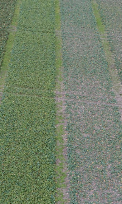 maxime touzaint tweet media