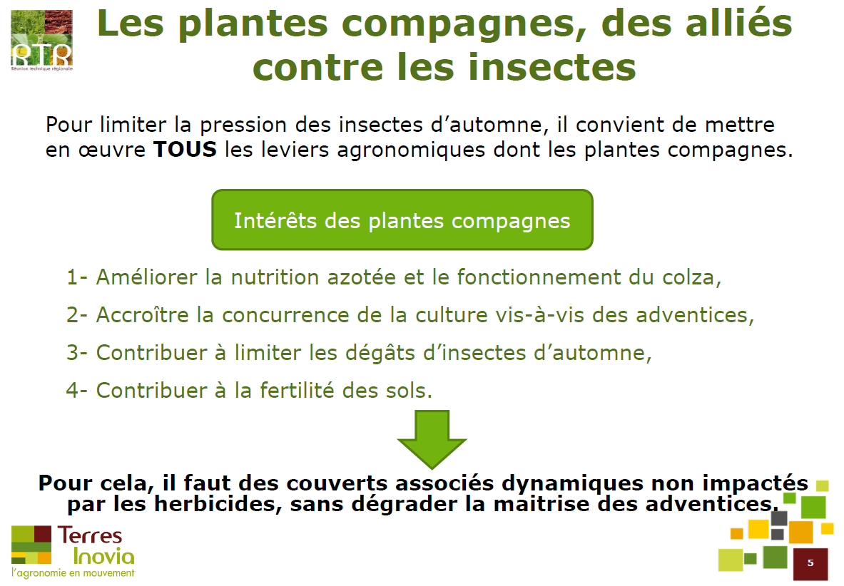 maxime touzaint tweet media