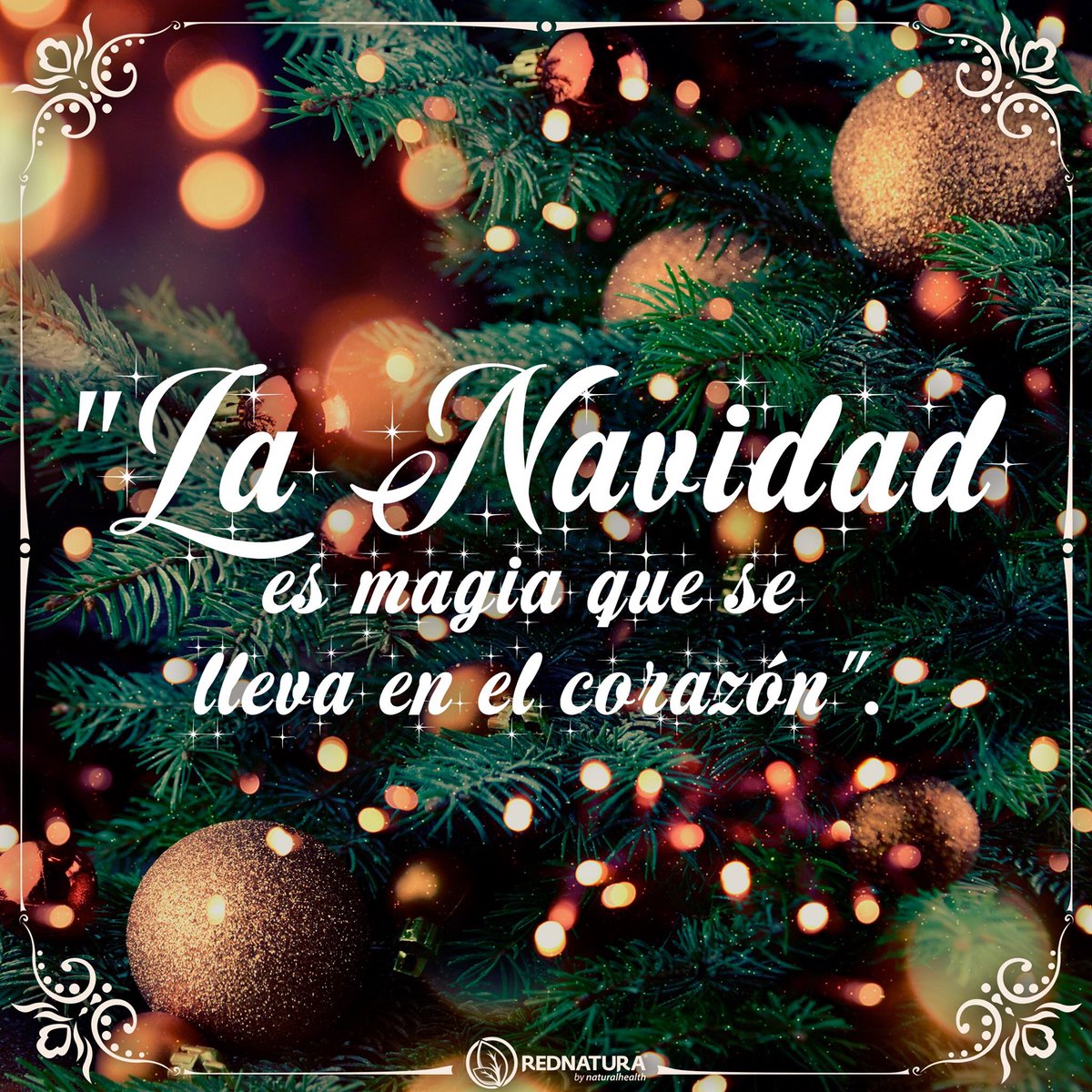 RedNatura4's tweet photo. Que estas fechas estén llenas de MAGIA. Felices fiestas 🥳 #rednaturaplaya #navidad🎄 #besosyabrazos https://t.co/QXOG4rRyRY