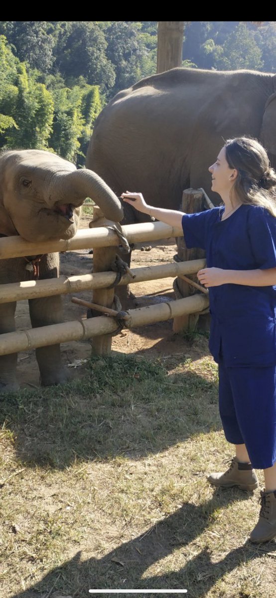 Pictures of the week in our Chiang Mai, Thailand Volunteer programs. VolunteerThailand.org #friendsforasia #volunteerthailand #volunteerchiangmai