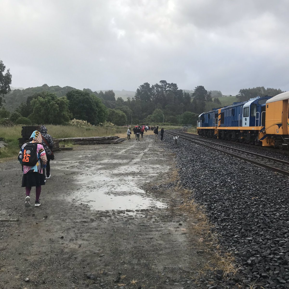 SarahLibrarina's tweet photo. At Waitati hall having arrived by train and made it through “customs” intact - all ready for another fabulous concert by @anthonietonnon #nzrail #waitati #nzheritage https://t.co/S3kohdf1sr