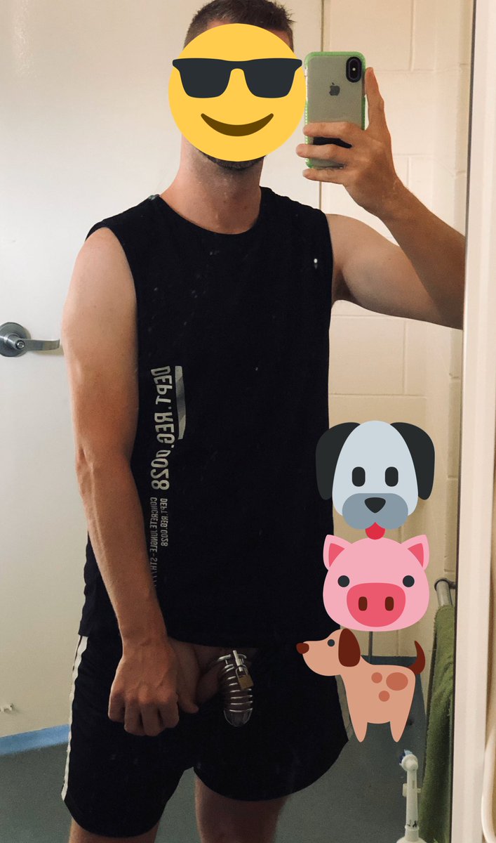 downunderffsub's tweet photo. The BF has me, his #gaypup all locked up while he is away for 2 weeks, so I I’m FULL of #cum when he gets back 😎😈🐷

 #caged #gaysub #gay #teamlocked #gaypig https://t.co/PMlw0xgCnP