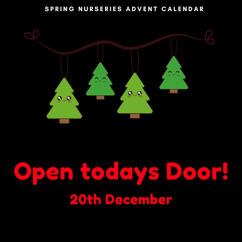 SpringChildcare's tweet photo. 20 December! Open today's advent calendar door and don't forget to share with us what you get up to! Tag a friend to open the door 🤶🏾
https://t.co/t1AK21gpv1
#springnurseries https://t.co/gB7jhz8ESw