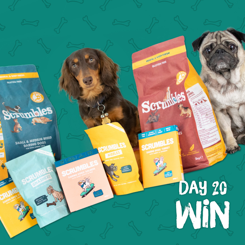 CanineCottages's tweet photo. A very Canine Christmas #competition - Day 20: We're giving away a month's worth of food and treats from @scrumblesuk!

To #win, simply RT this post and FOLLOW our Twitter page!

Ts&amp;Cs apply. Comp ends 01/01. https://t.co/RoWORFQY7f