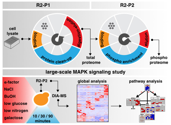 Mol Syst Biol tweet media