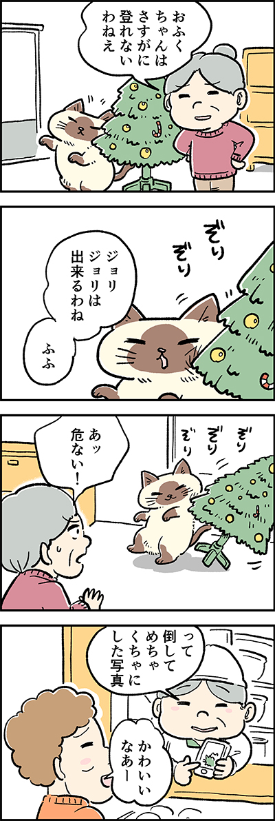 かわいいなぁ～(by 稲葉さん)?

第43話「クリスマスの写真」

『猫のおふくちゃん』の最新話は毎週金曜日に連載中♪
⇒( 

#猫のおふくちゃん 