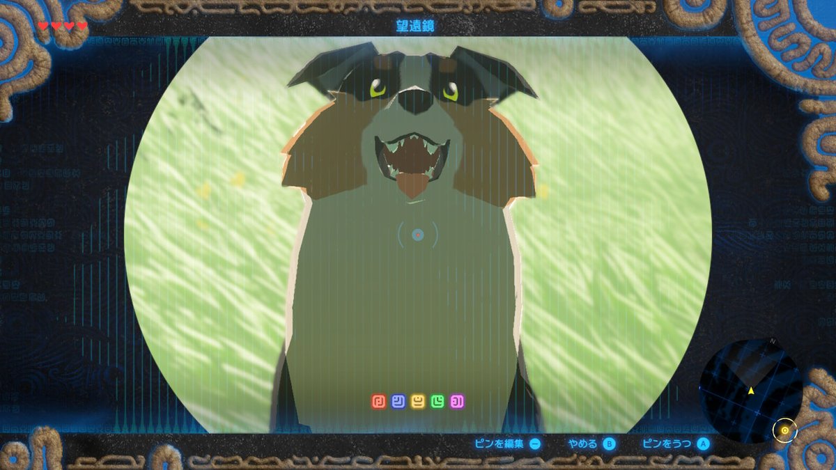 シーレ On Twitter ゼルダの伝説 Breathofthewild Nintendoswitch 犬犬ズ