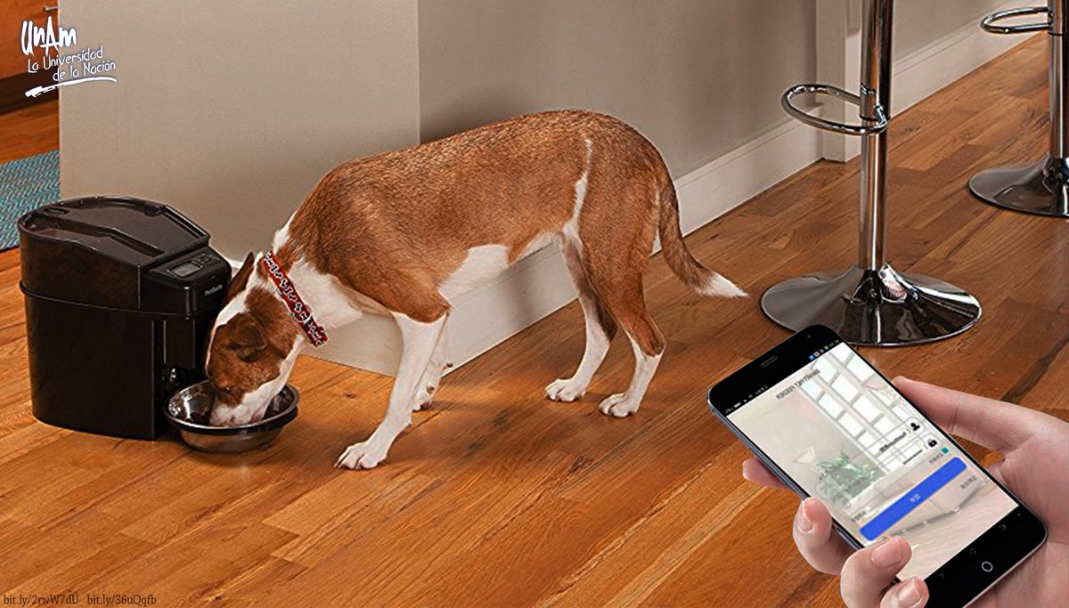 SalaPrensaUNAM's tweet image. #BoletínUNAM Desarrollan en la UNAM dosificador de alimento para perros, que se activa con el celular &amp;gt; bit.ly/36J1gOJ